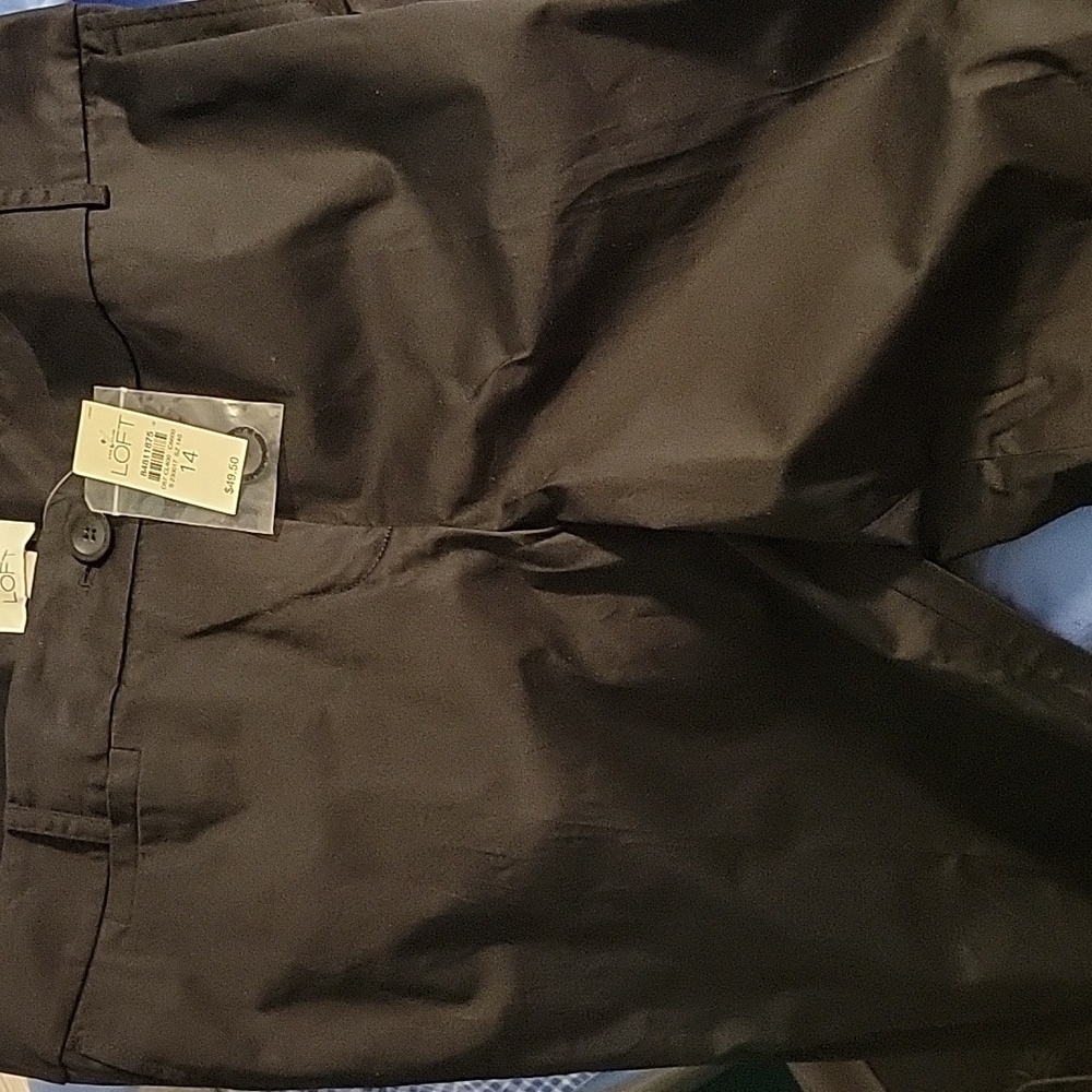 Ann Taylor LOFT Bermuda Shorts, NWT